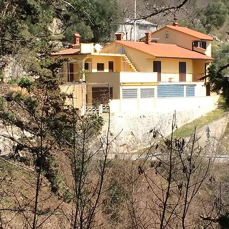 Apartment Bertossin Rovini Moscenicka Draga